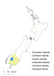 Veronica biggarii distribution map based on databased records at AK, CHR & WELT.
 Image: K.Boardman © Landcare Research 2022 CC-BY 4.0
